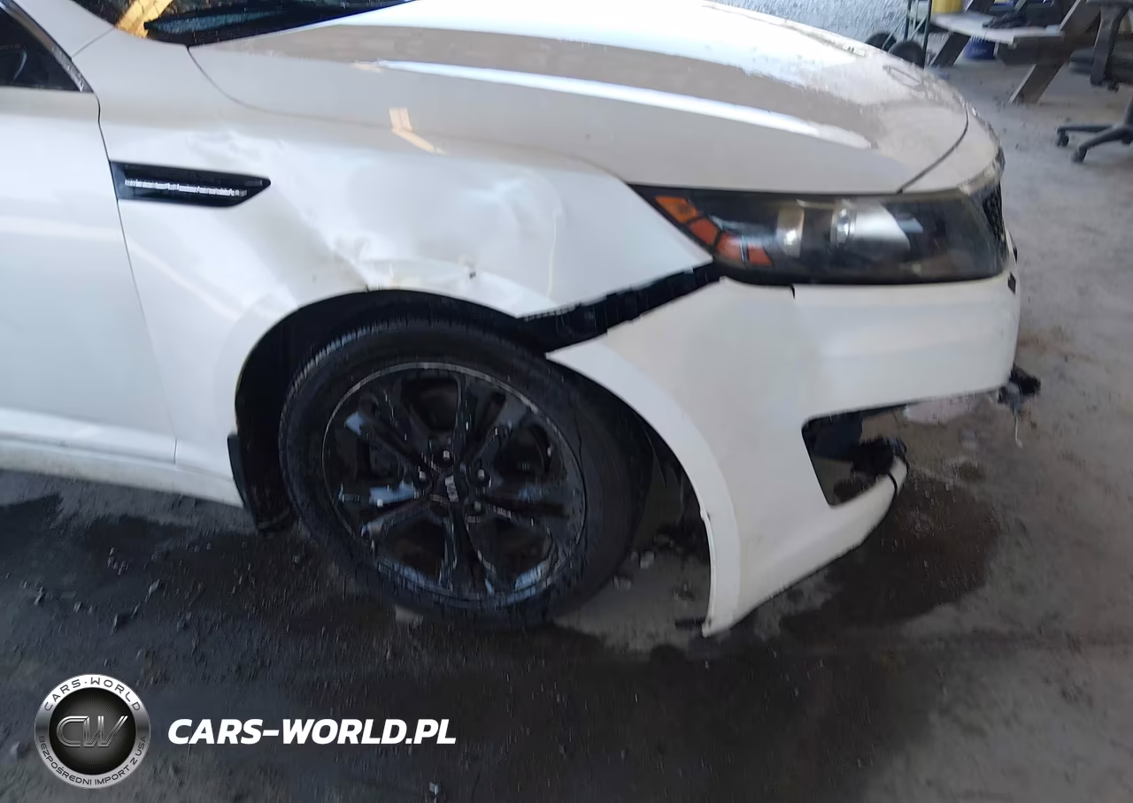2011 Kia Optima Ex VIN:KNAGN4A71B5059838 - 14