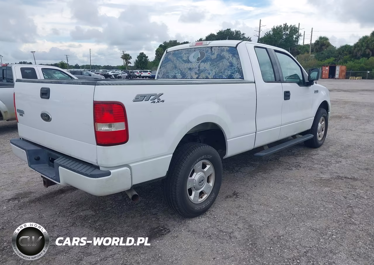 2004 Ford F-150 Stx-Xl-Xlt VIN:1FTRX14W24NA92504 - 4