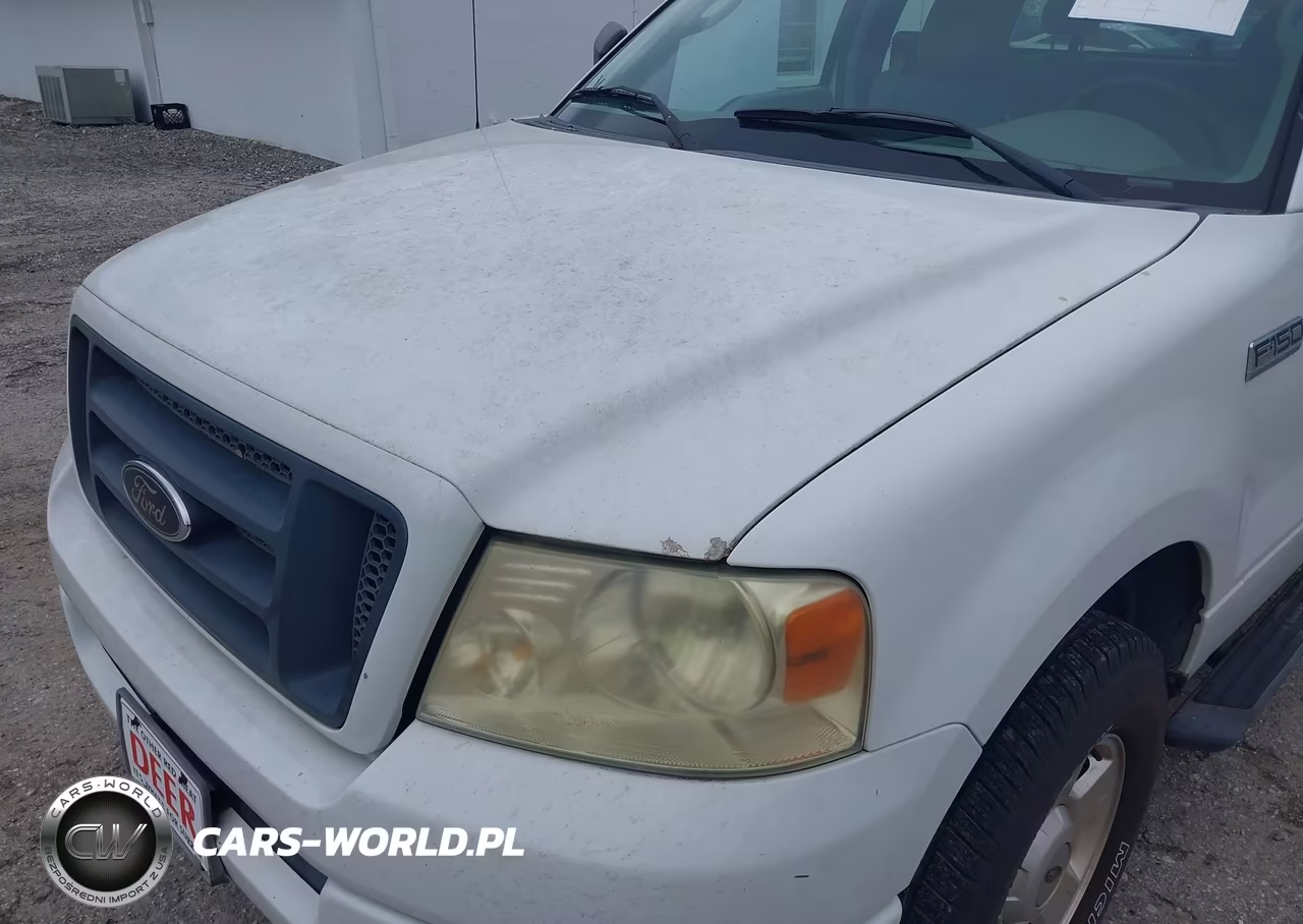 2004 Ford F-150 Stx-Xl-Xlt VIN:1FTRX14W24NA92504 - 6