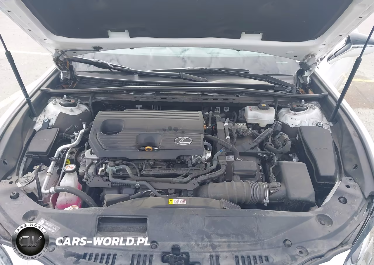 2024 Lexus Es 300H VIN:58ADA1C16RU050680 - 10