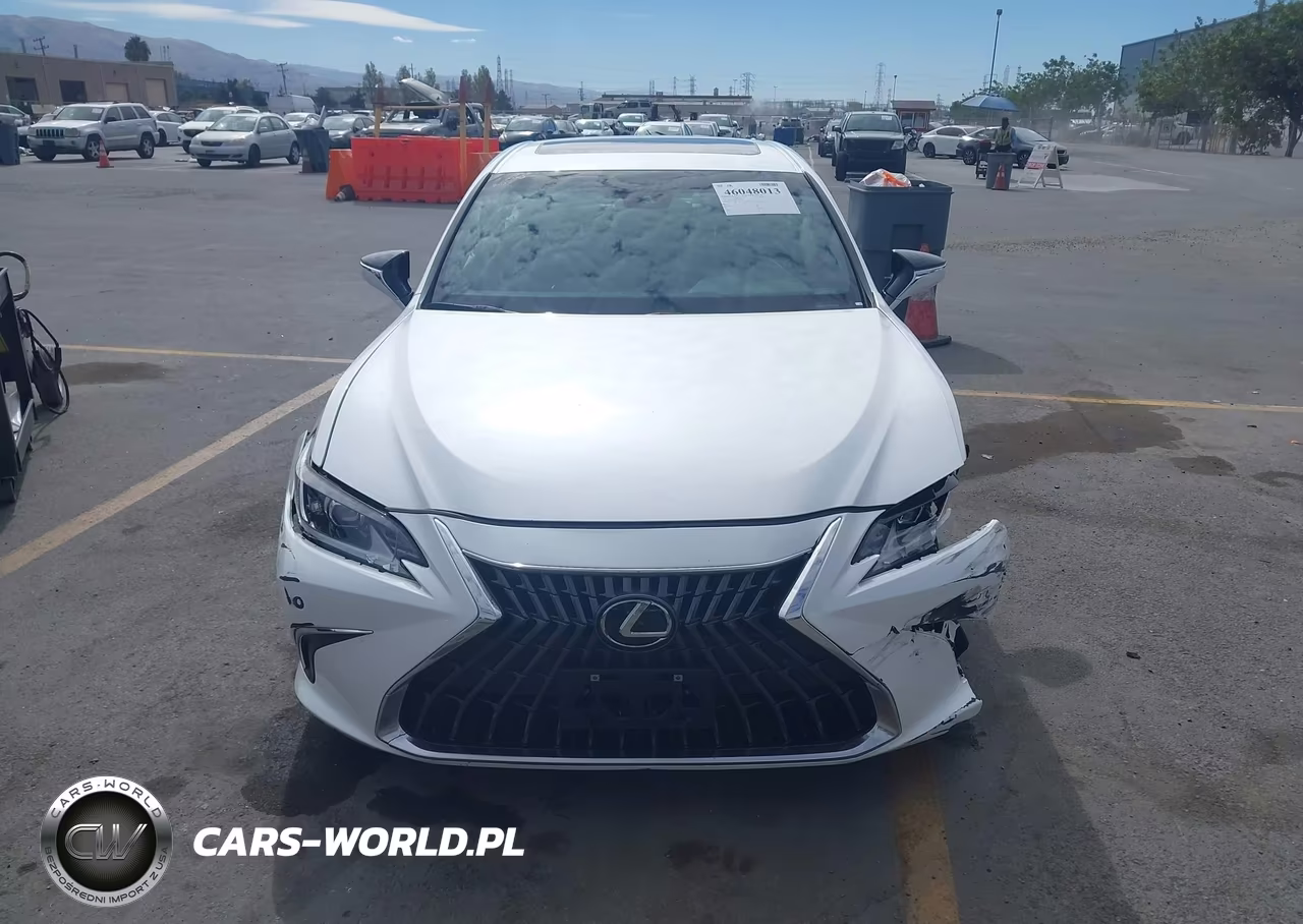 2024 Lexus Es 300H VIN:58ADA1C16RU050680 - 12