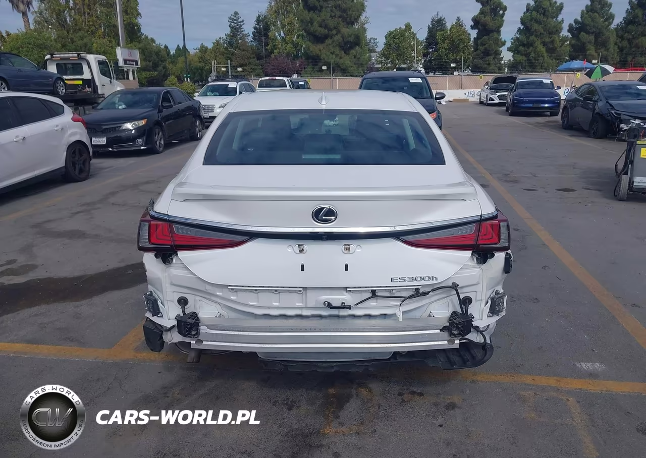 2024 Lexus Es 300H VIN:58ADA1C16RU050680 - 16