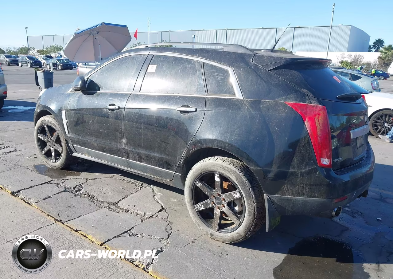 2010 Cadillac Srx Standard VIN:3GYFNGEY7AS655358 - 3