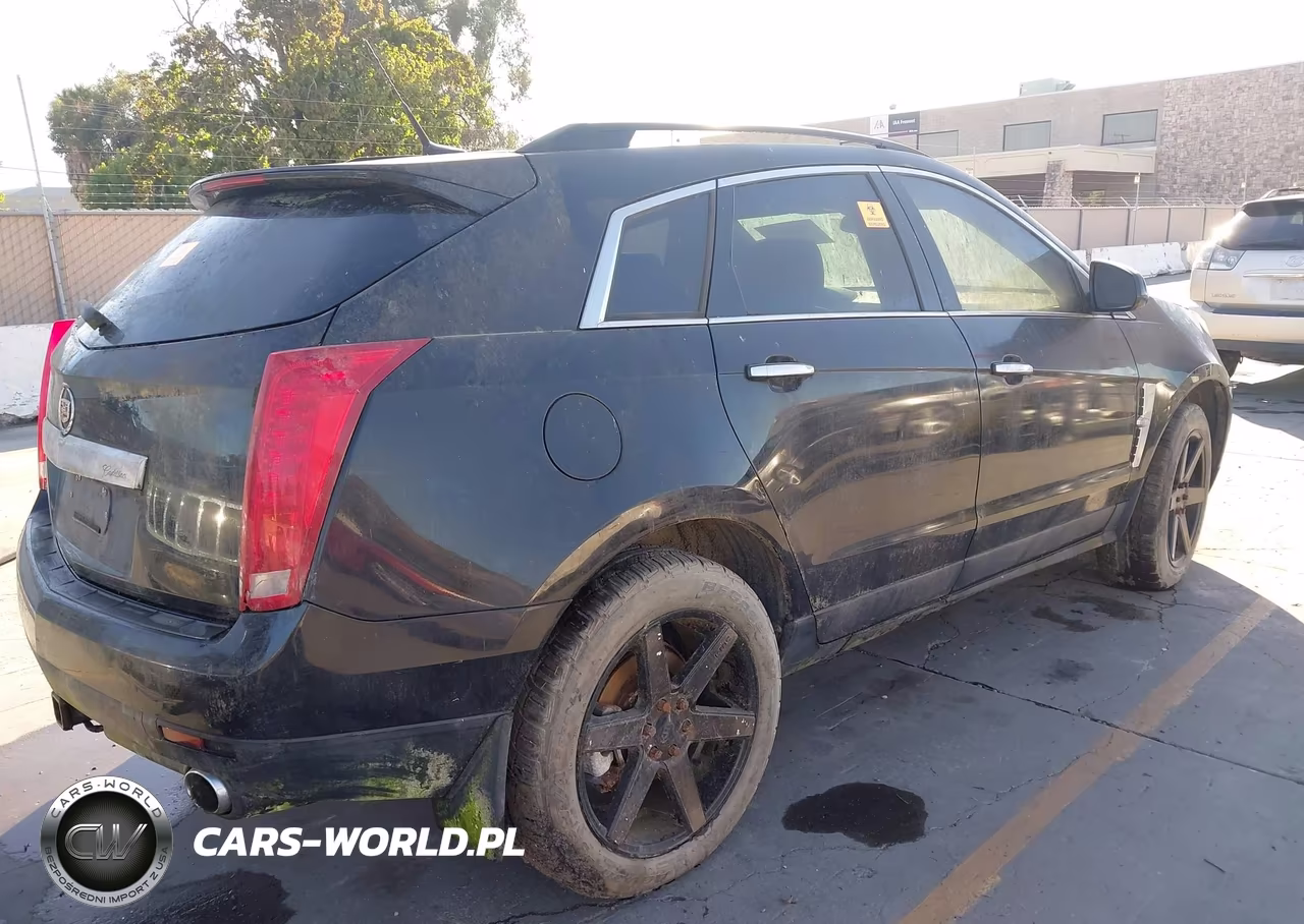 2010 Cadillac Srx Standard VIN:3GYFNGEY7AS655358 - 4