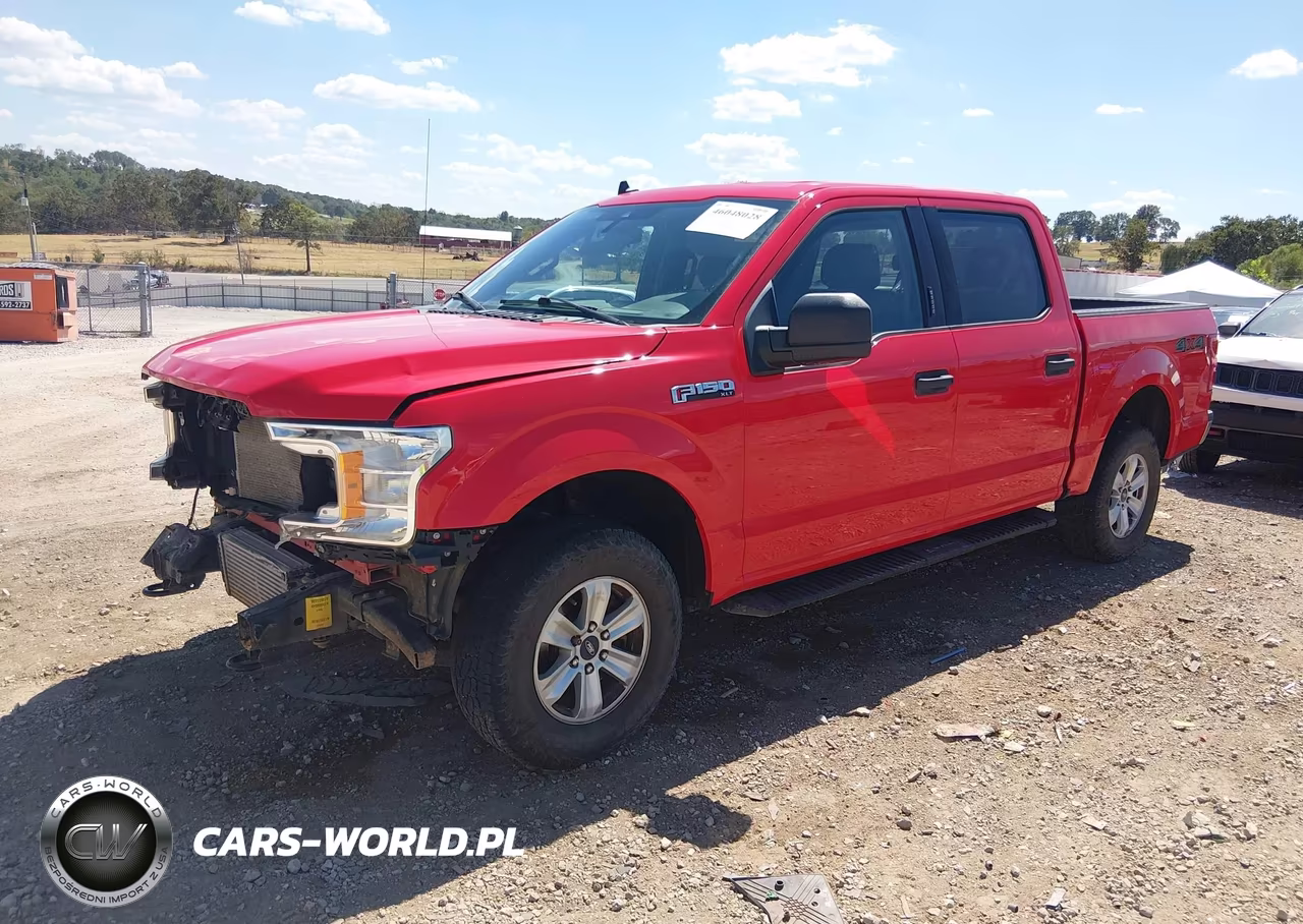2020 Ford F-150 Xlt VIN:1FTEW1EP3LKD21636 - 2