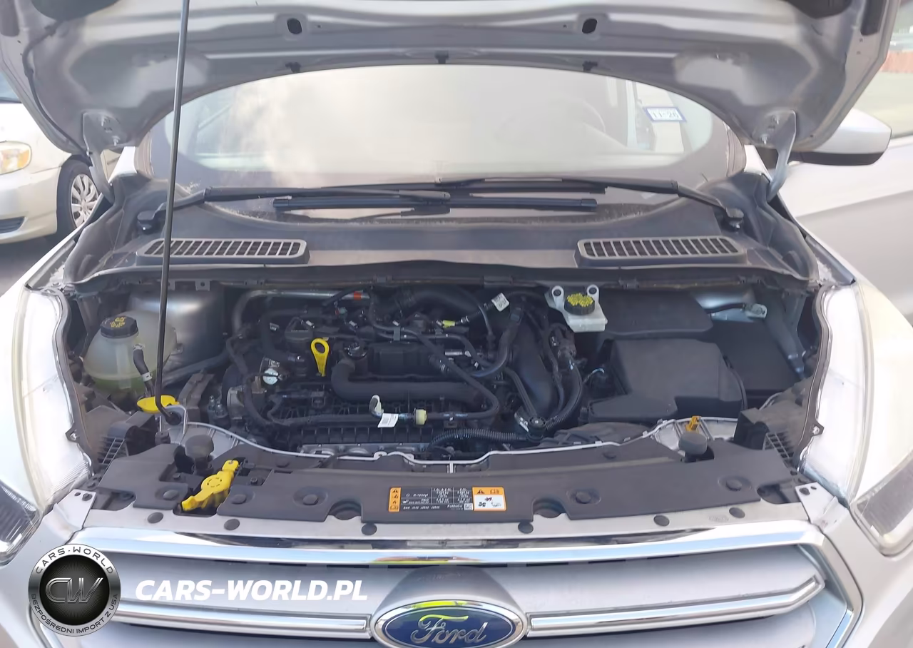 2019 Ford Escape Se VIN:1FMCU0GD9KUA72588 - 10