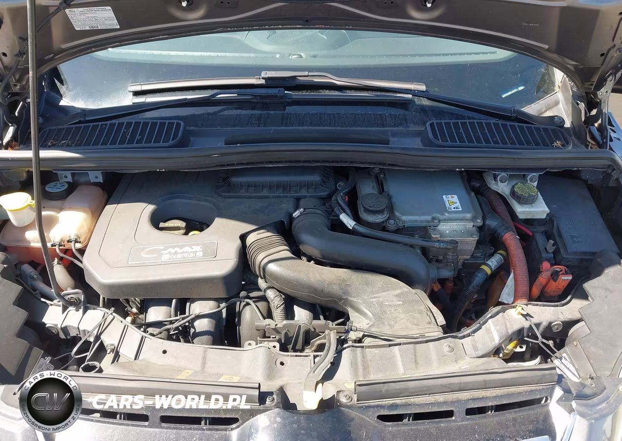 2013 Ford C-Max Energi Sel VIN:1FADP5CU0DL525921 - 10