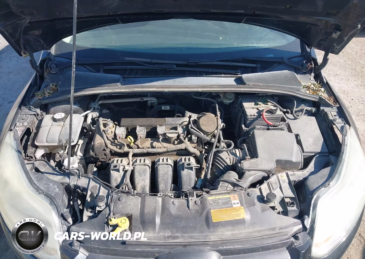 2013 Ford Focus Se VIN:1FADP3F27DL264561 - 10