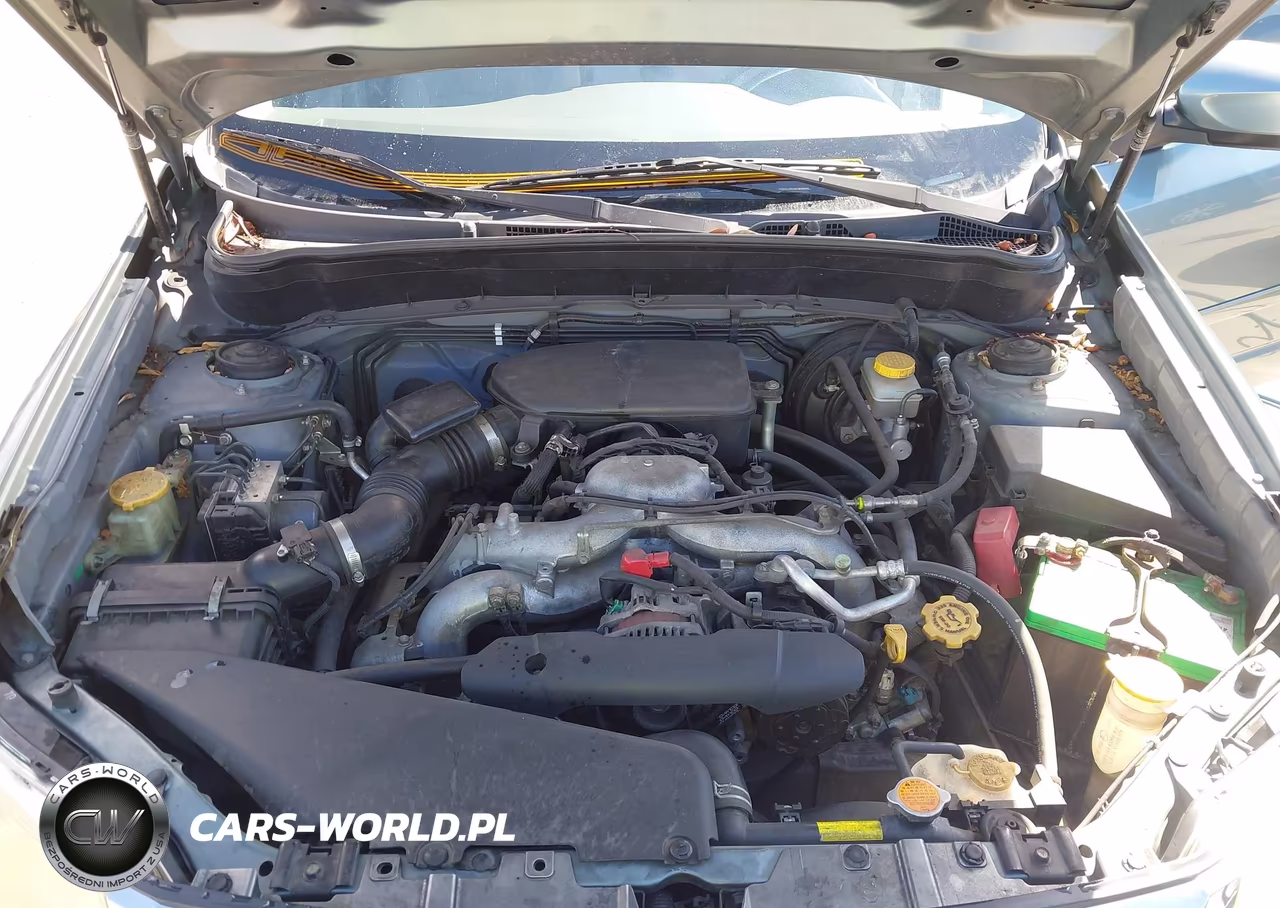 2010 Subaru Forester 2.5X Premium VIN:JF2SH6CC9AH781096 - 10