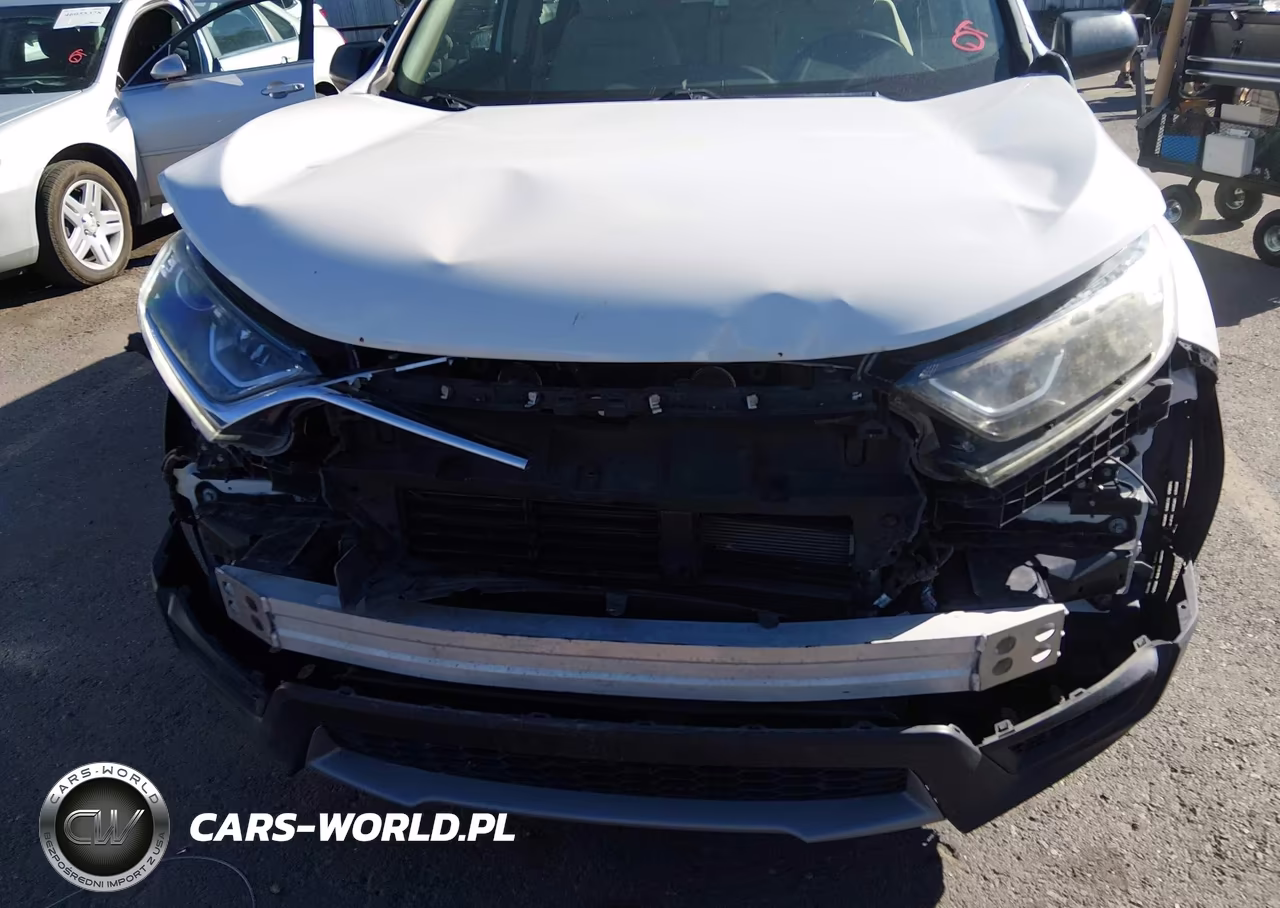 2019 Honda Cr-V Lx VIN:2HKRW6H38KH223674 - 6