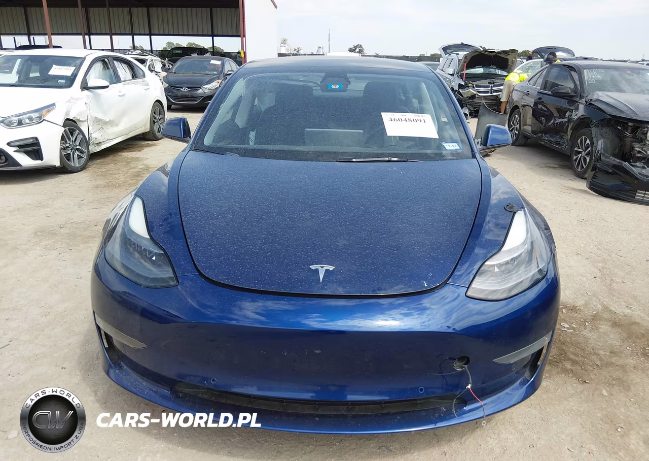 2022 Tesla Model 3 Rear-Wheel Drive VIN:5YJ3E1EA7NF104113 - 12