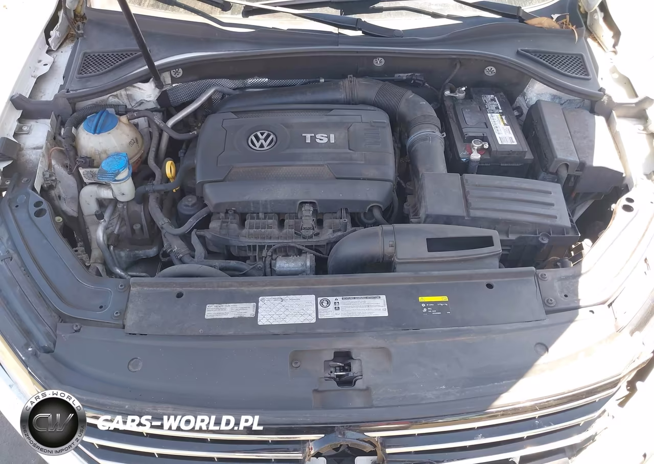 2016 Volkswagen Passat 1.8T S VIN:1VWAS7A35GC027331 - 10