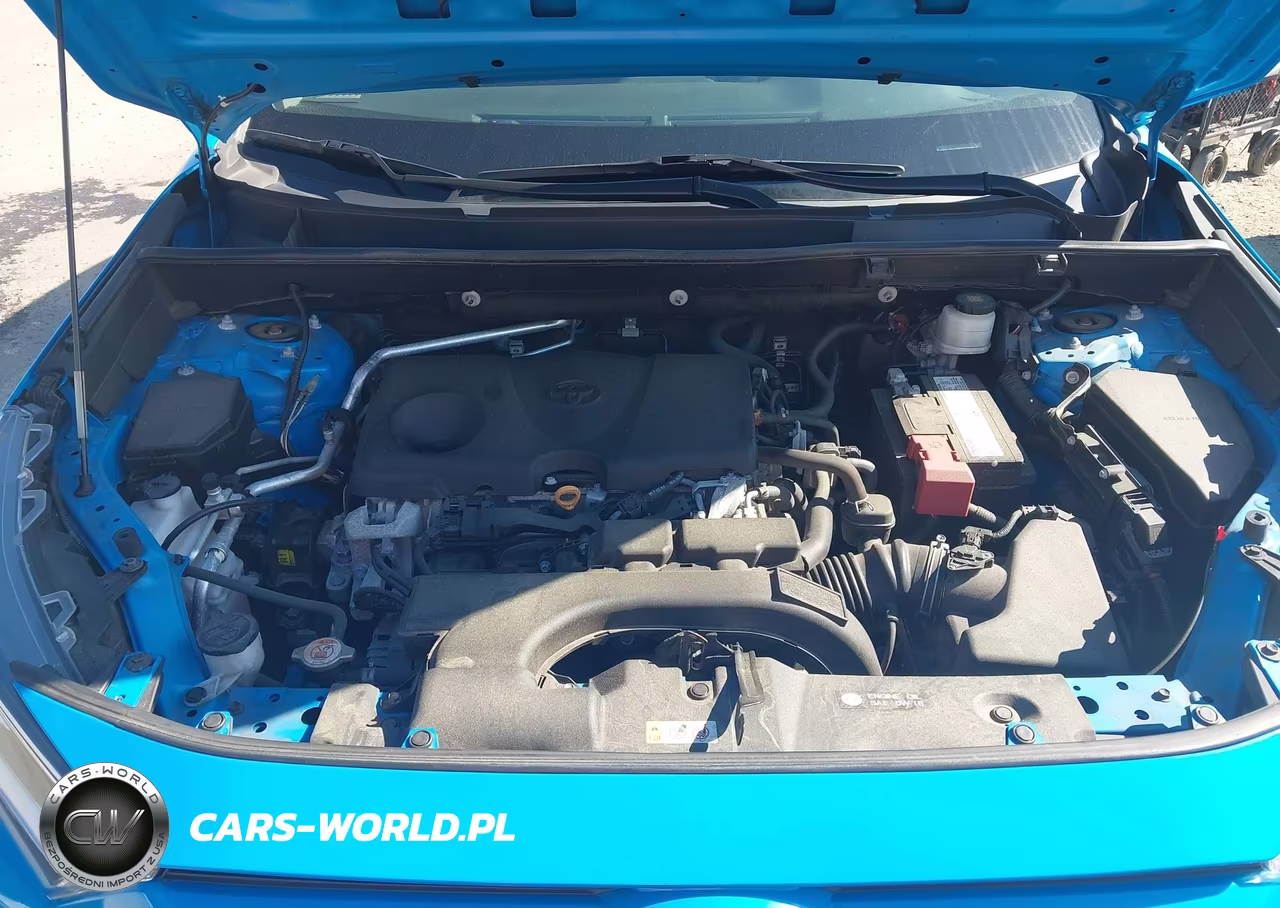 2019 Toyota Rav4 Xle VIN:2T3P1RFV8KC044699 - 10