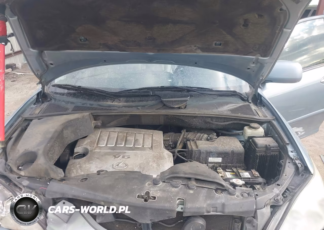 2009 Lexus Rx 350 VIN:2T2GK31UX9C063052 - 10