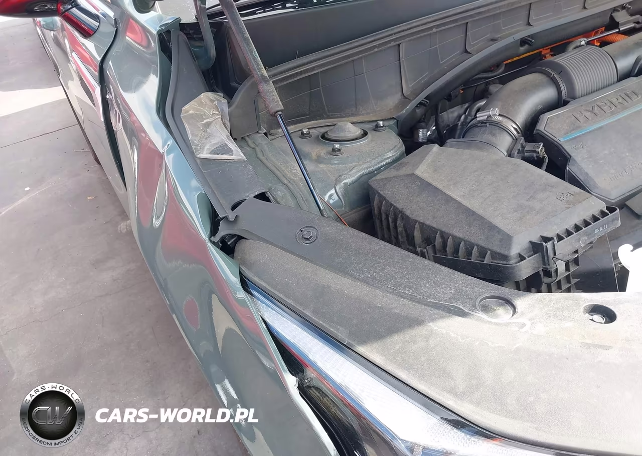 2025 Kia Sorento Hybrid Ex VIN:KNDRH4JGXS5301397 - 19