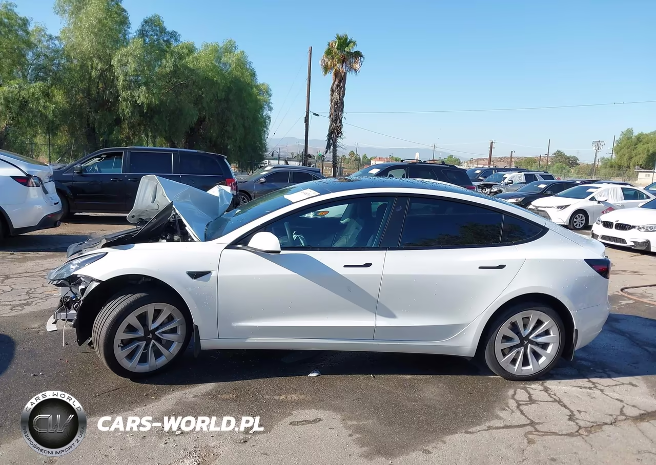 2022 Tesla Model 3 Long Range Dual Motor All-Wheel Drive VIN:5YJ3E1EB0NF295589 - 14