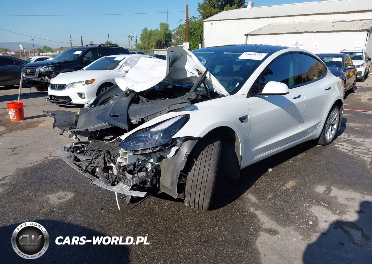 2022 Tesla Model 3 Long Range Dual Motor All-Wheel Drive VIN:5YJ3E1EB0NF295589 - 2