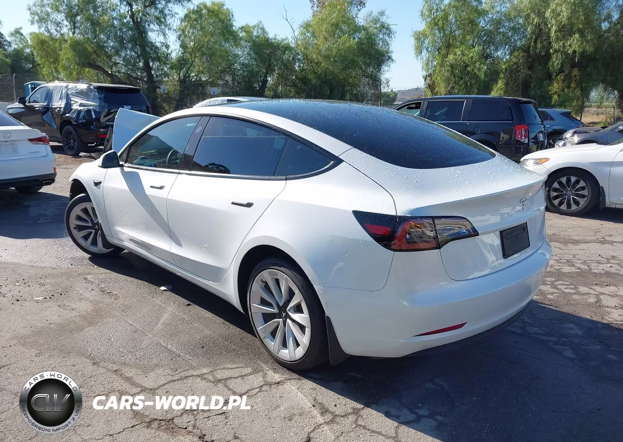 2022 Tesla Model 3 Long Range Dual Motor All-Wheel Drive VIN:5YJ3E1EB0NF295589 - 3