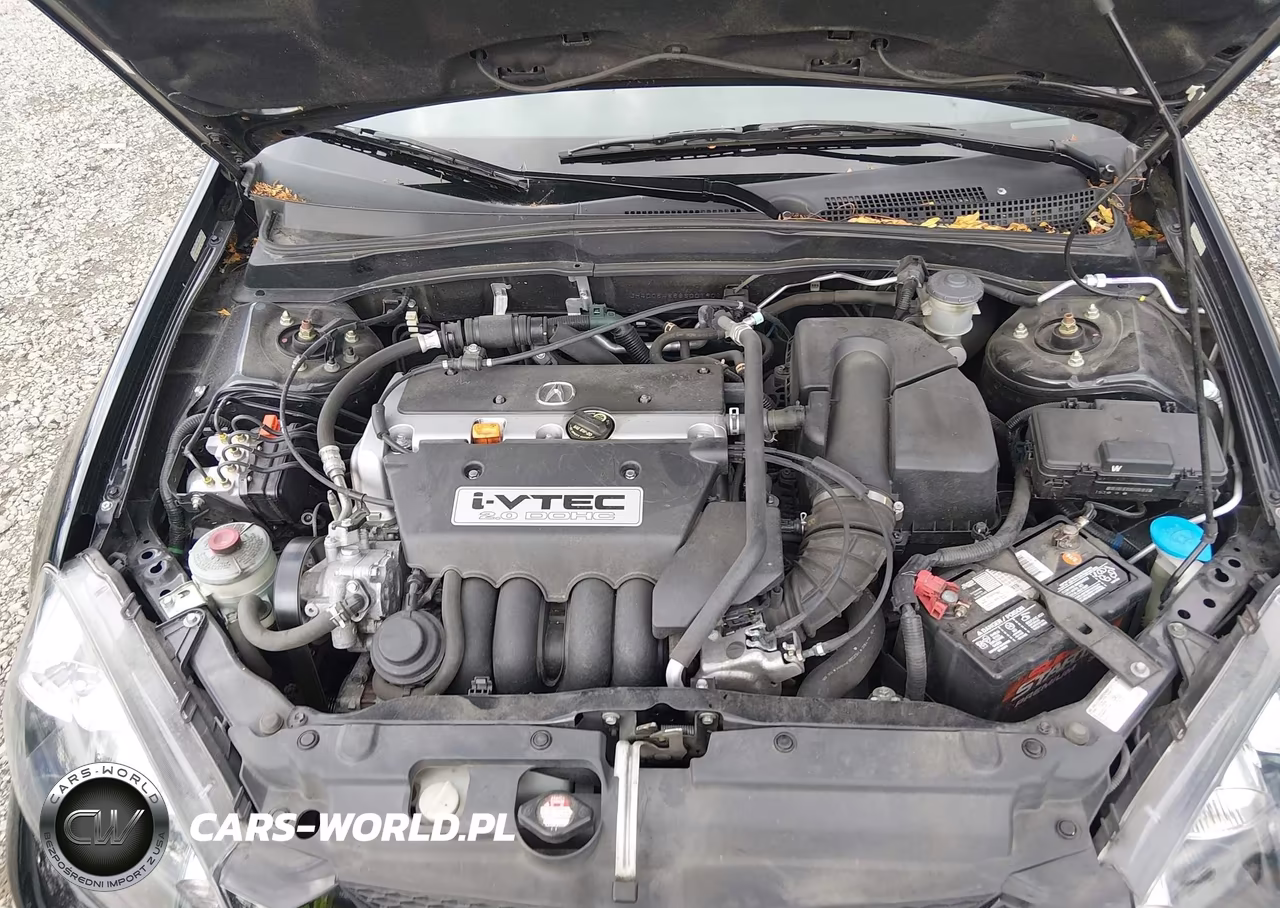 2006 Acura Rsx VIN:JH4DC54866S001901 - 10