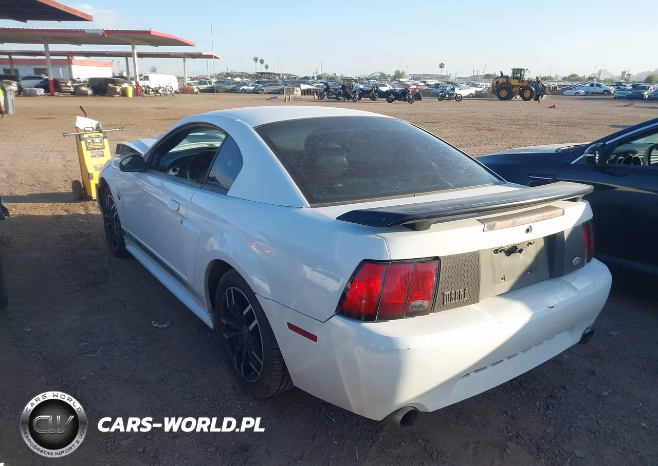 2004 Ford Mustang Mach 1 VIN:1FAFP42R94F134328 - 3