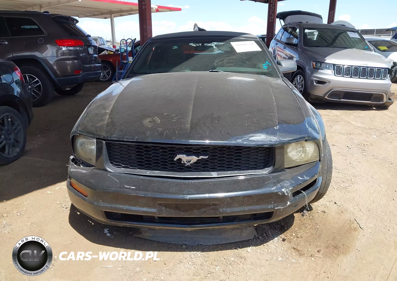 2008 Ford Mustang V6 Deluxe-V6 Premium VIN:1ZVHT84NX85143516 - 12