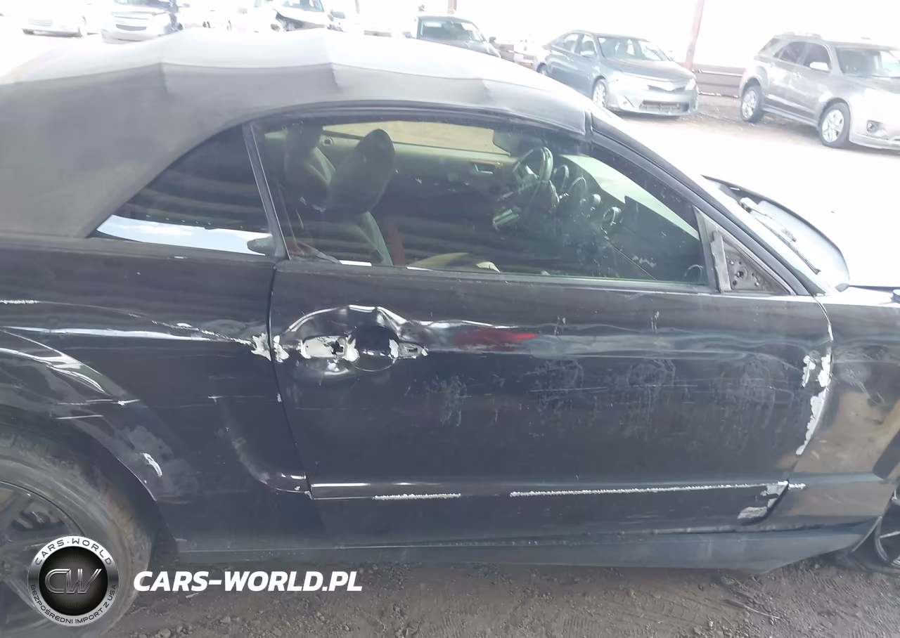 2008 Ford Mustang V6 Deluxe-V6 Premium VIN:1ZVHT84NX85143516 - 13