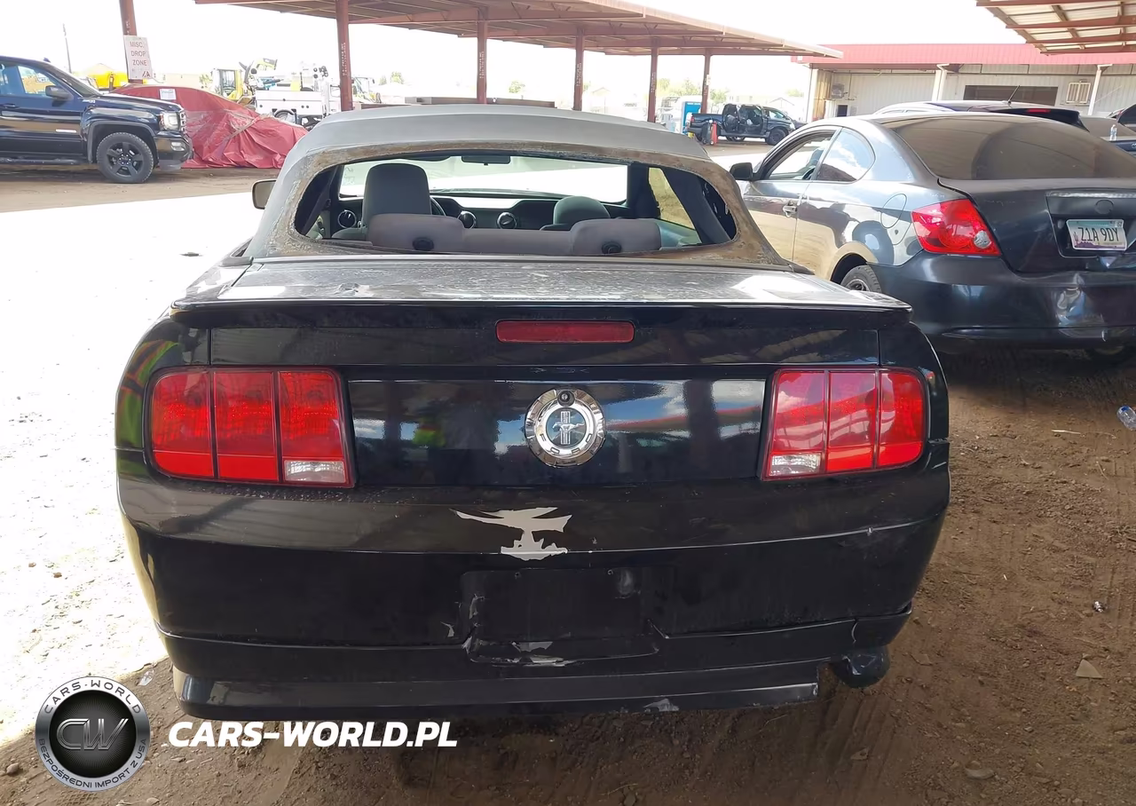 2008 Ford Mustang V6 Deluxe-V6 Premium VIN:1ZVHT84NX85143516 - 16