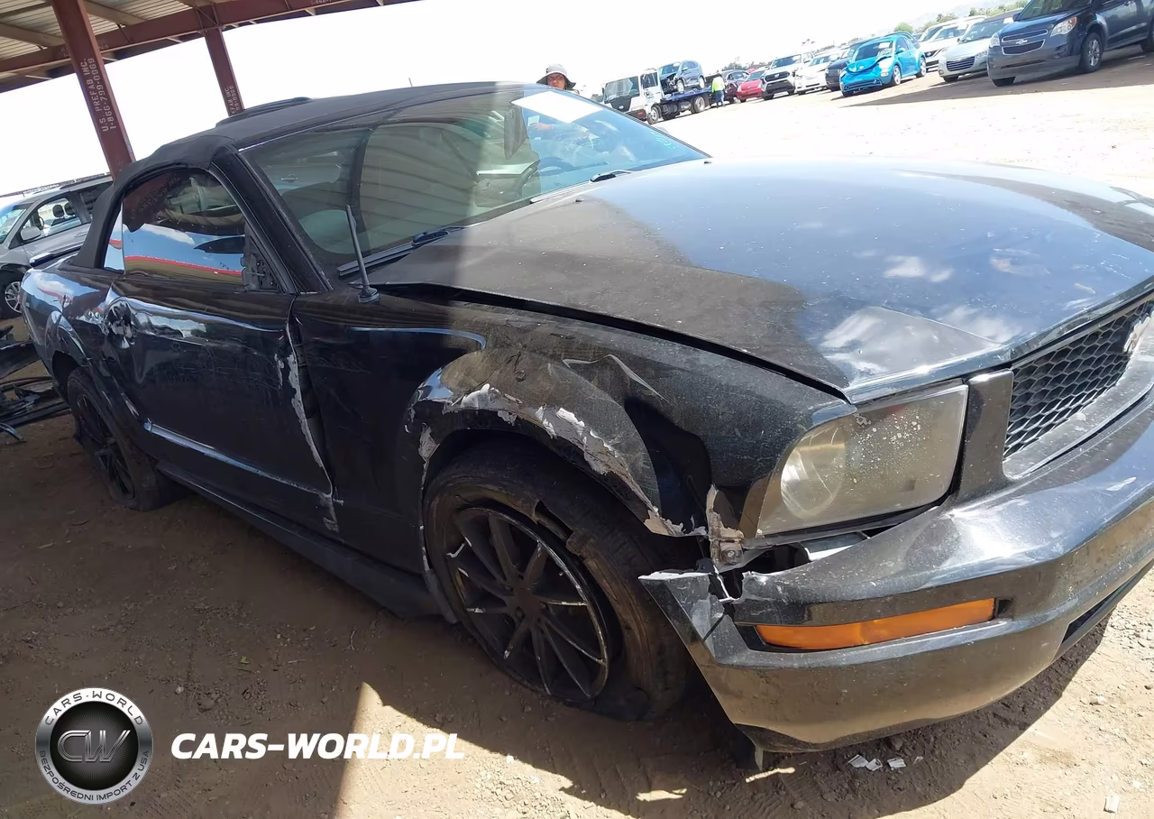 2008 Ford Mustang V6 Deluxe-V6 Premium VIN:1ZVHT84NX85143516 - 6