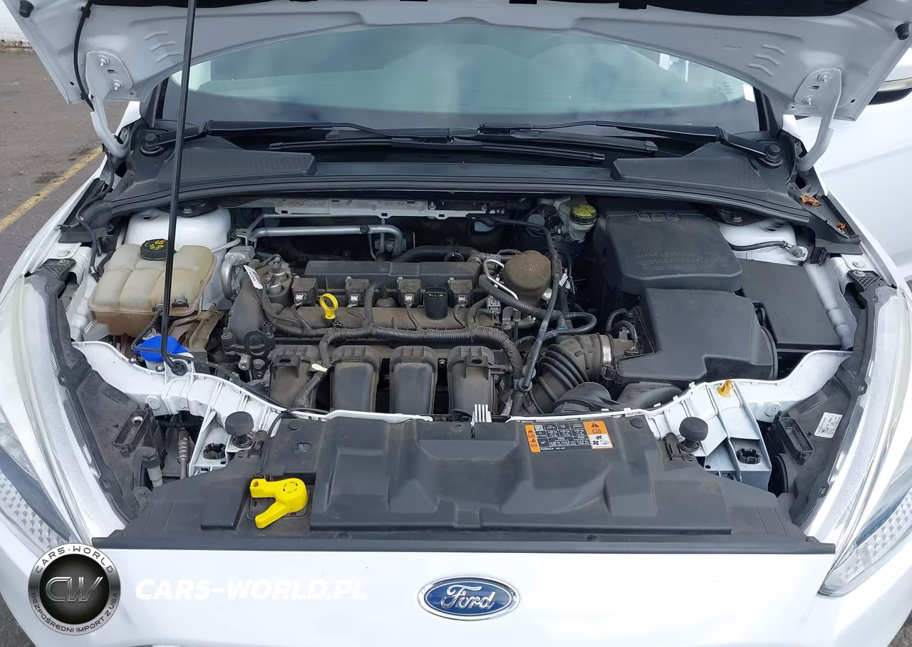 2015 Ford Focus Se VIN:1FADP3K20FL307159 - 10