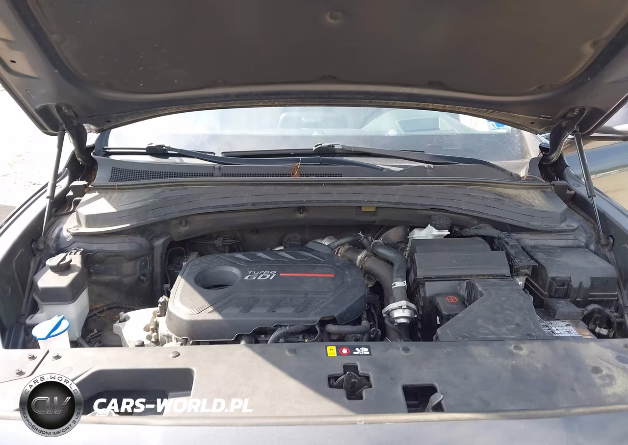 2020 Hyundai Santa Fe Limited 2.0T VIN:5NMS5CAAXLH288231 - 10