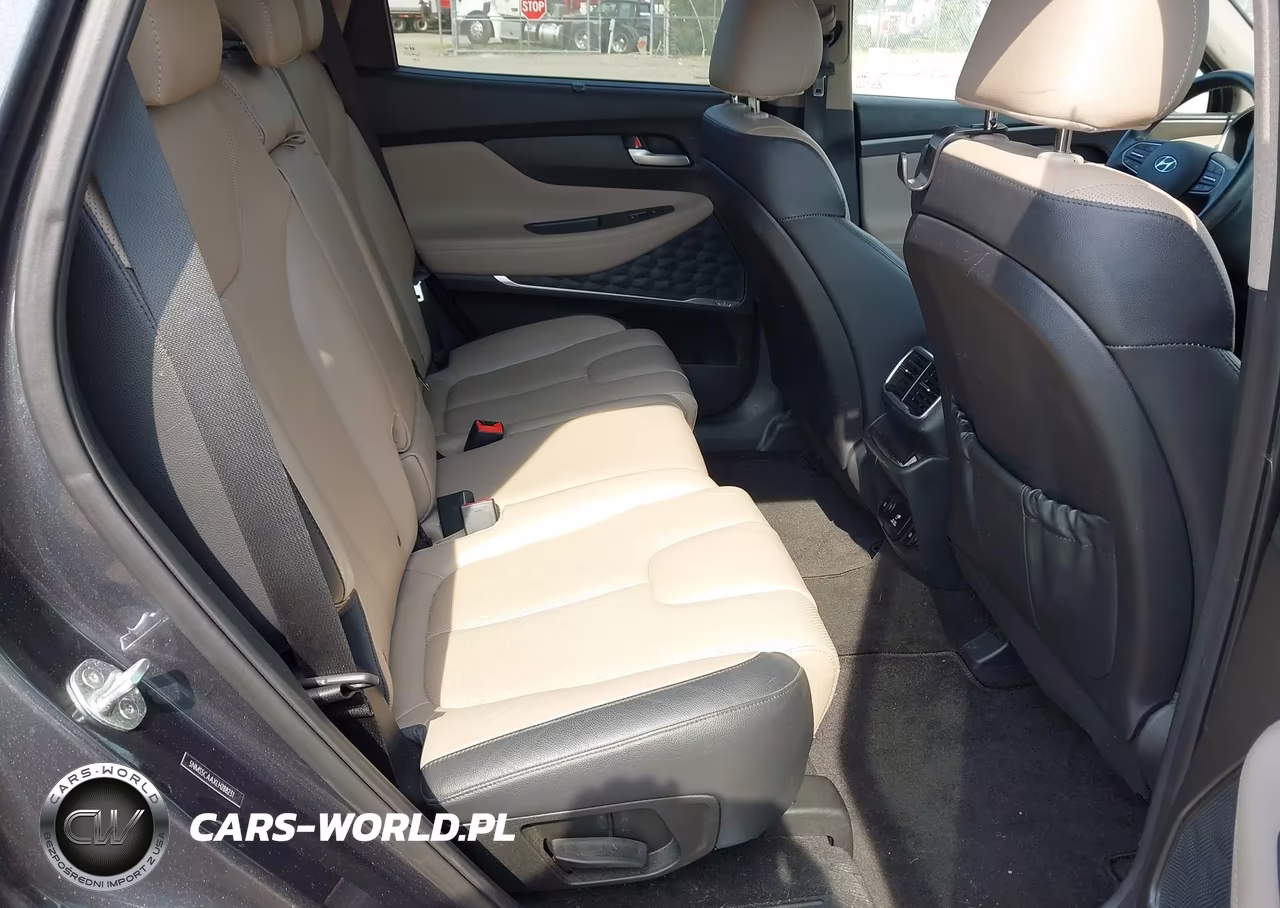 2020 Hyundai Santa Fe Limited 2.0T VIN:5NMS5CAAXLH288231 - 8