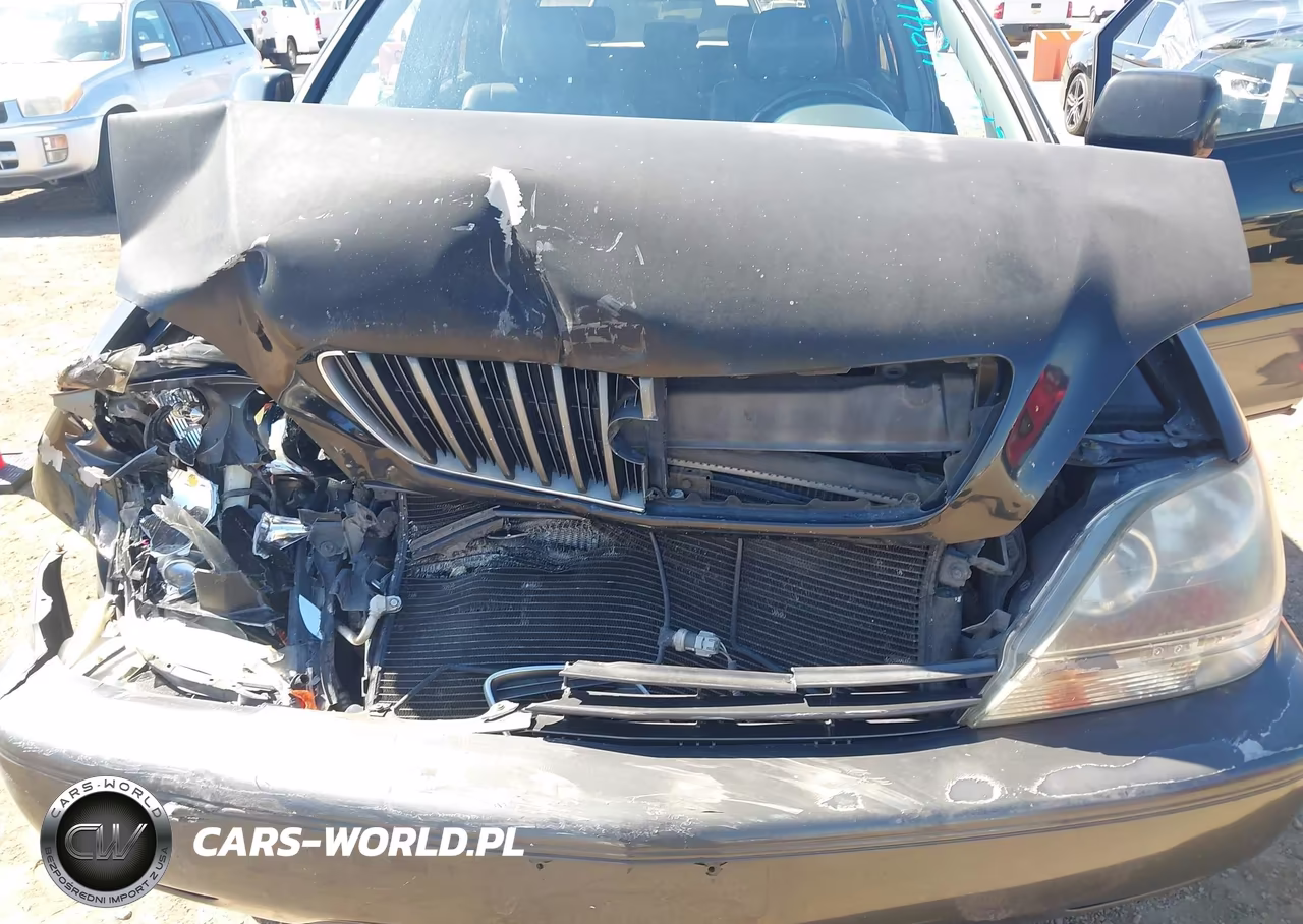 1999 Lexus Rx 300 VIN:JT6HF10UXX0020476 - 10