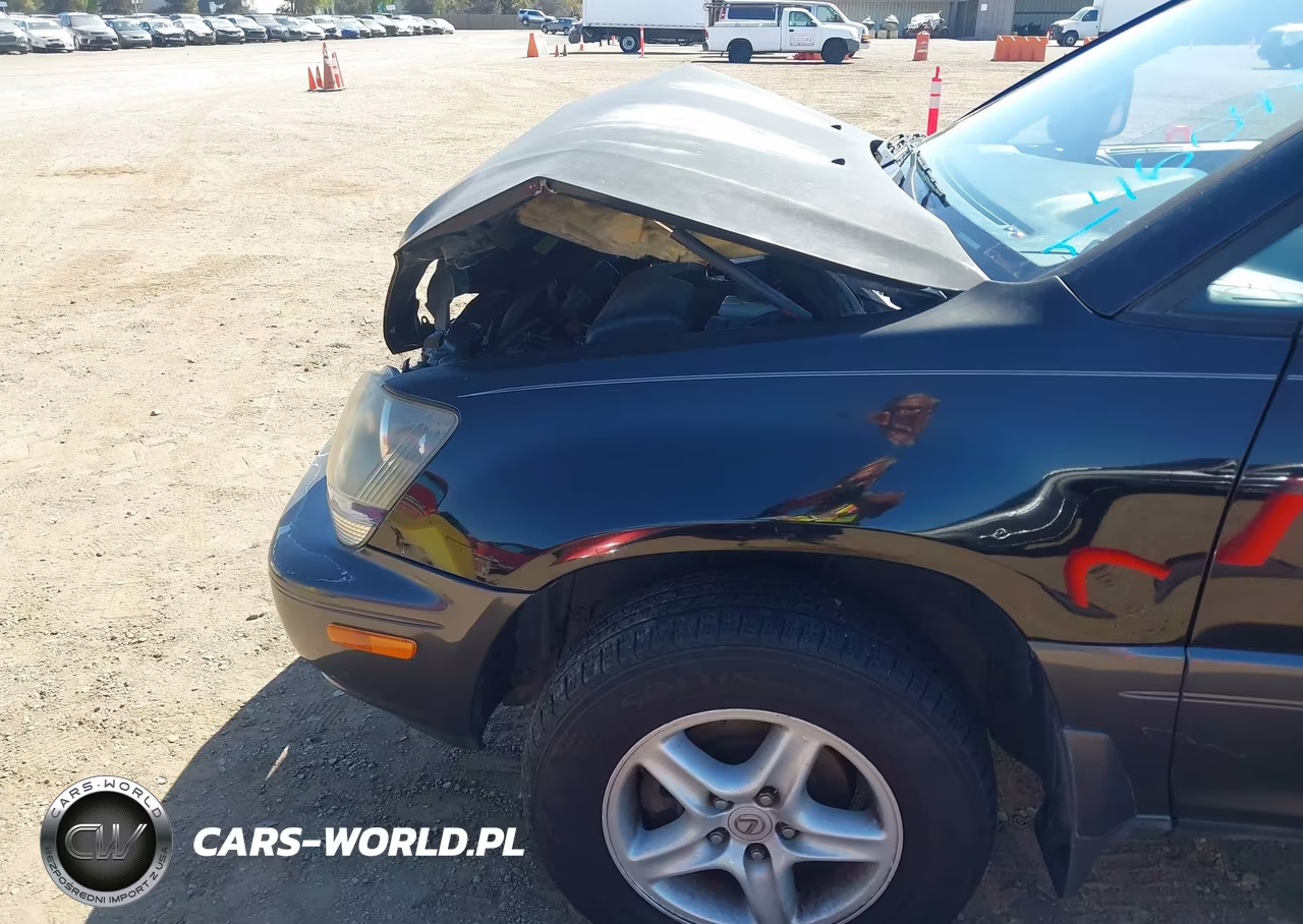 1999 Lexus Rx 300 VIN:JT6HF10UXX0020476 - 13
