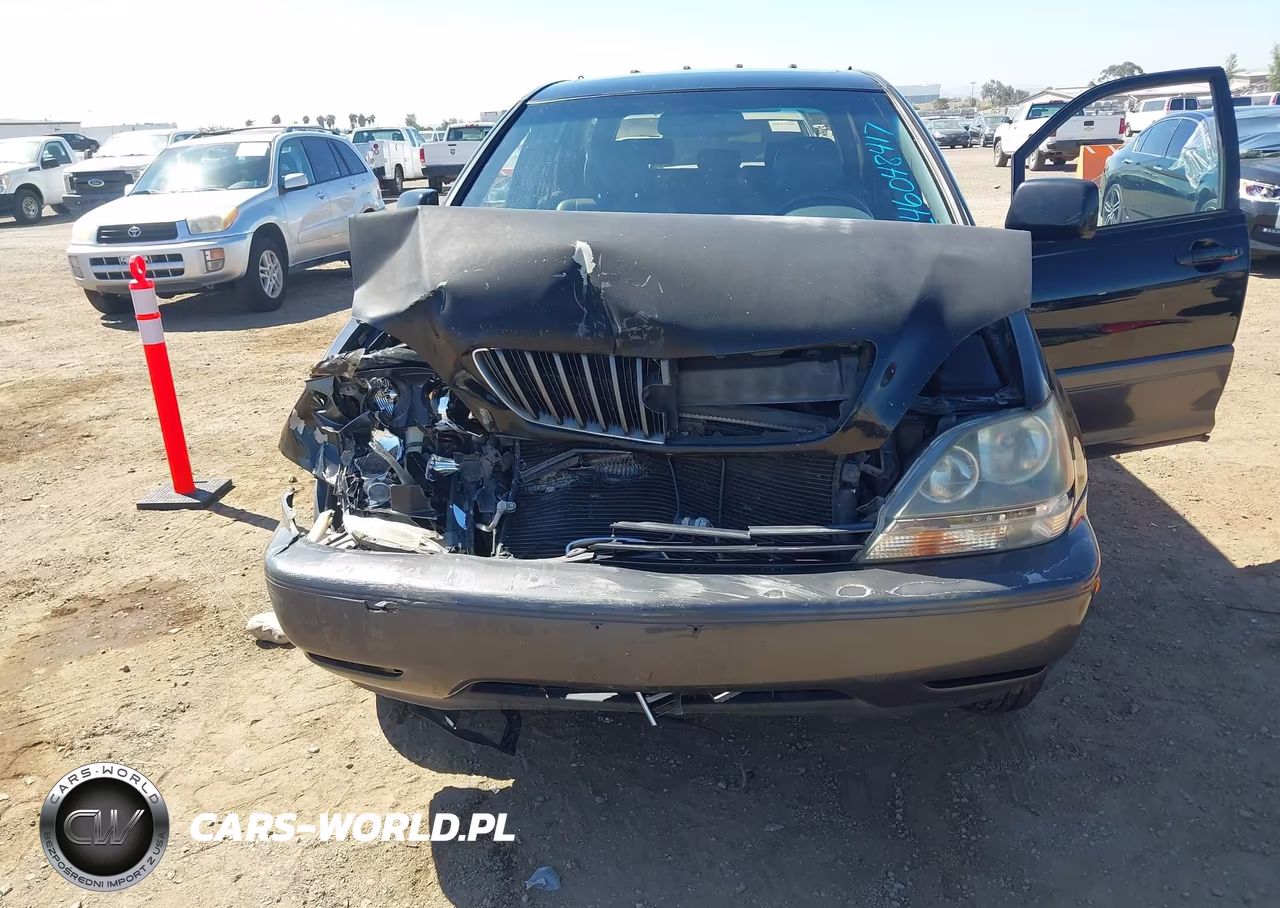 1999 Lexus Rx 300 VIN:JT6HF10UXX0020476 - 6