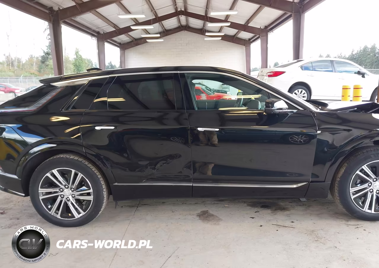 2025 Cadillac Lyriq Luxury 1 Rwd VIN:1GYKPNRL5SZ307400 - 13
