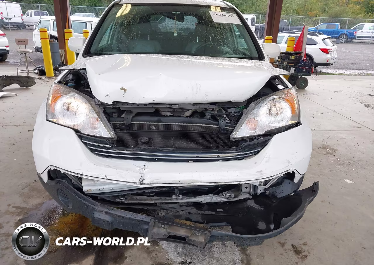 2008 Honda Cr-V Ex-L VIN:JHLRE48788C024738 - 6
