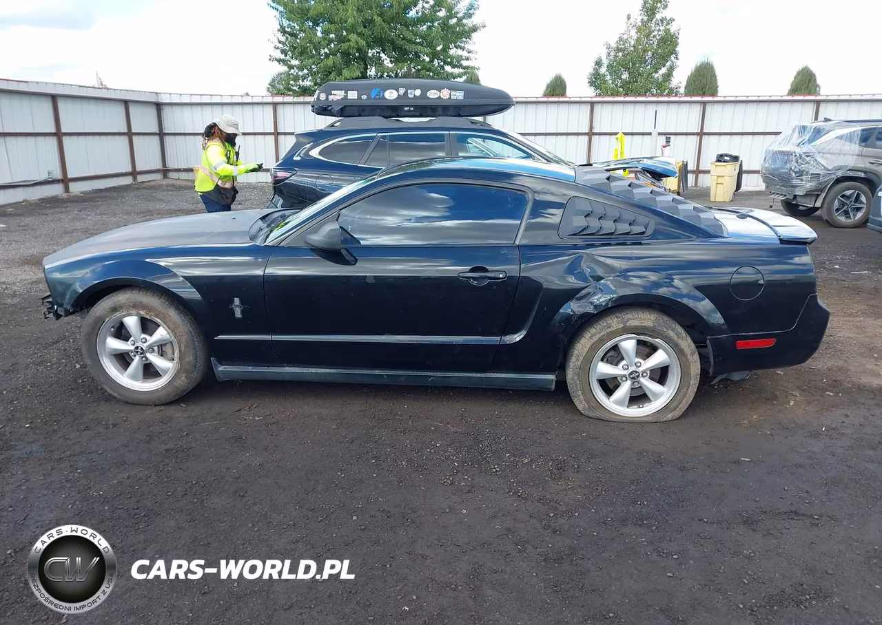 2008 Ford Mustang V6 Deluxe-V6 Premium VIN:1ZVHT80N585129366 - 15