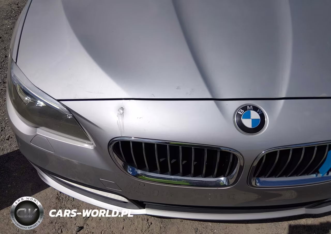 2014 BMW 528I VIN:WBA5A5C52ED508068 - 12