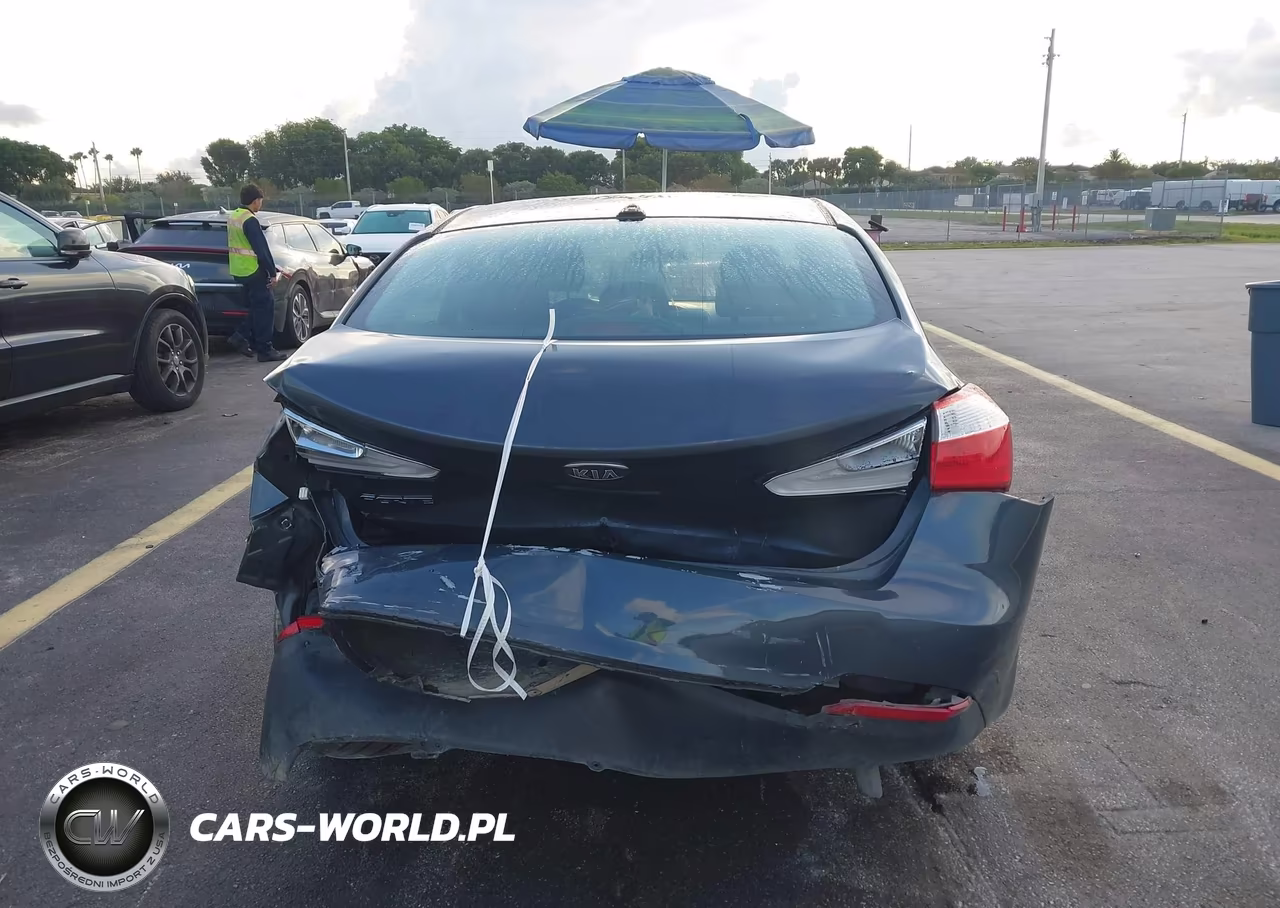 2016 Kia Forte Lx VIN:KNAFK4A67G5573406 - 16
