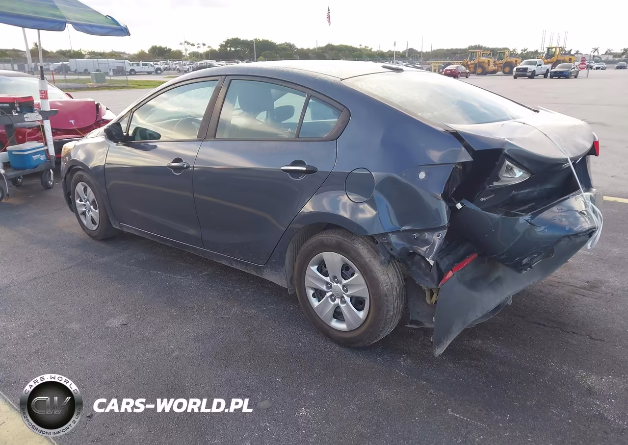 2016 Kia Forte Lx VIN:KNAFK4A67G5573406 - 3