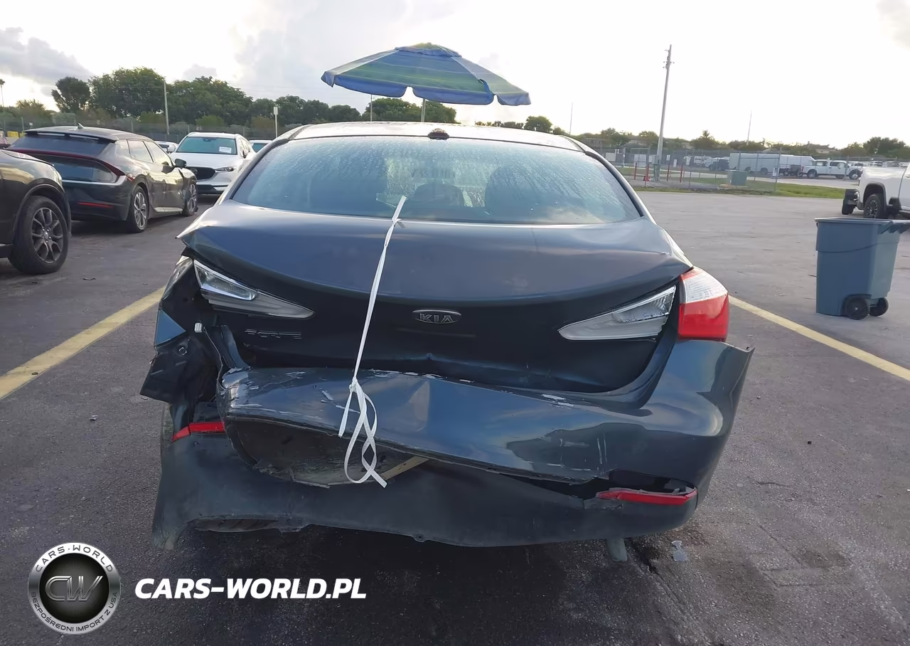 2016 Kia Forte Lx VIN:KNAFK4A67G5573406 - 6