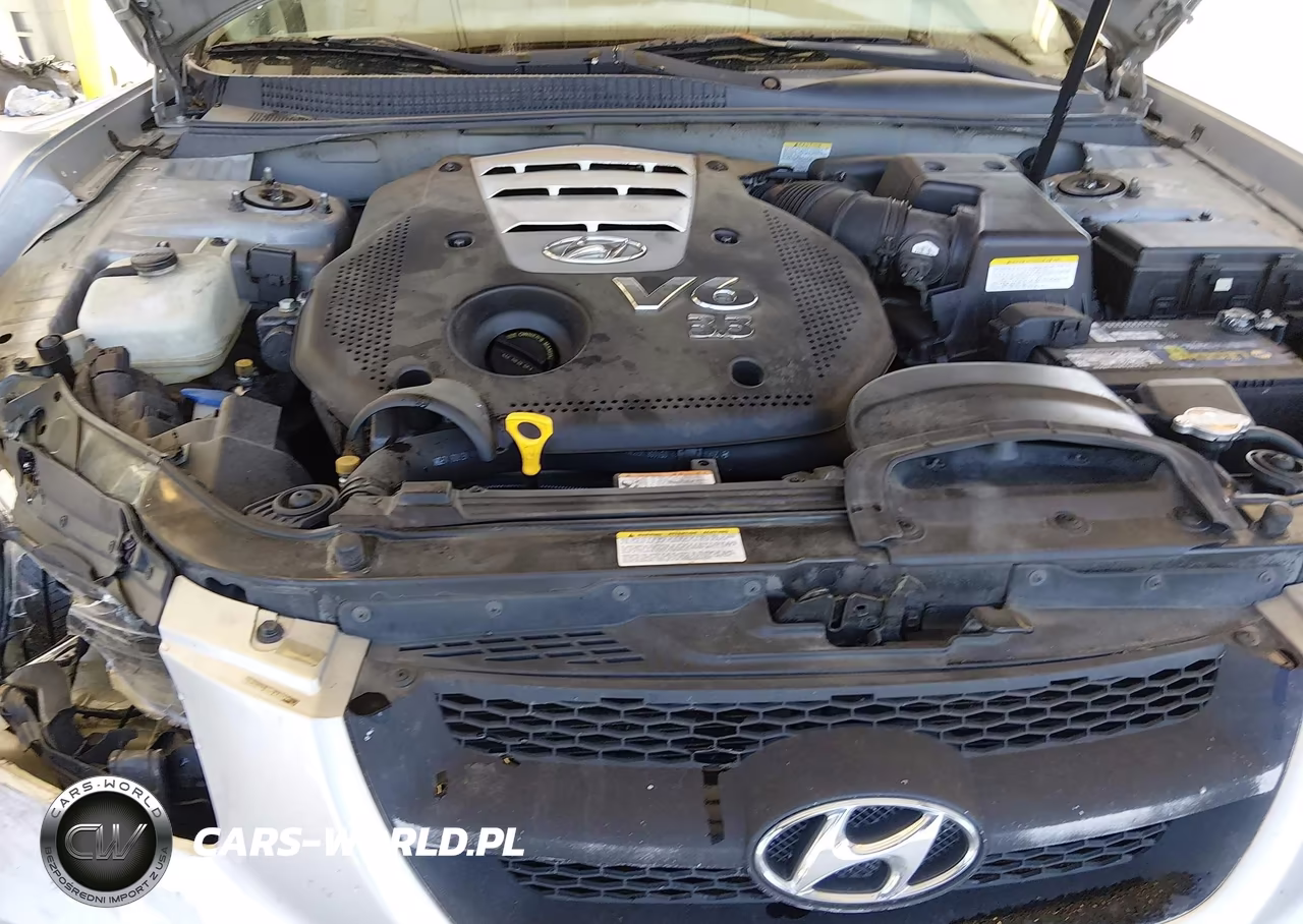 2006 Hyundai Sonata Gls V6-Lx V6 VIN:5NPEU46FX6H135835 - 10