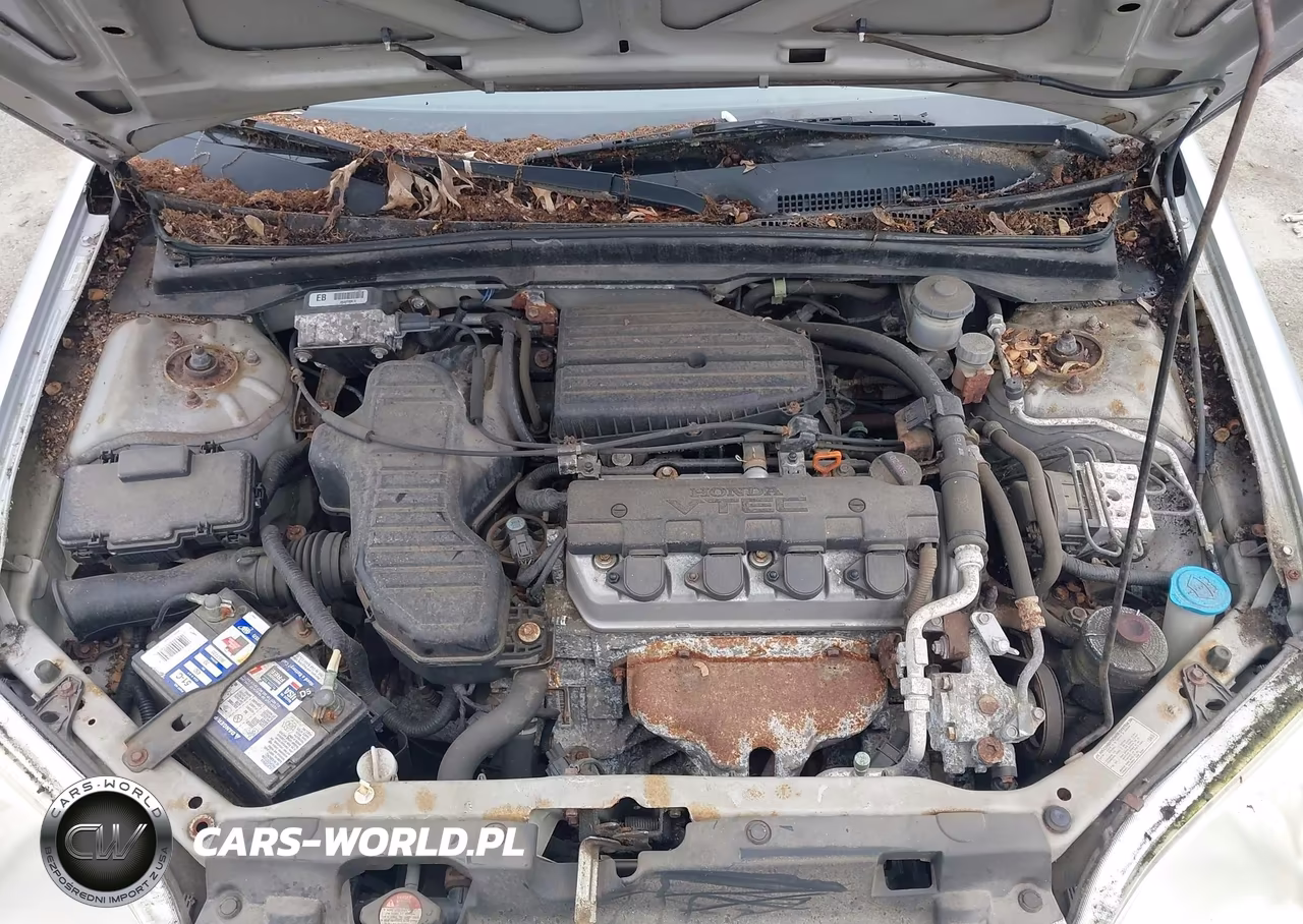 2003 Honda Civic Ex VIN:1HGEM21953L053686 - 10