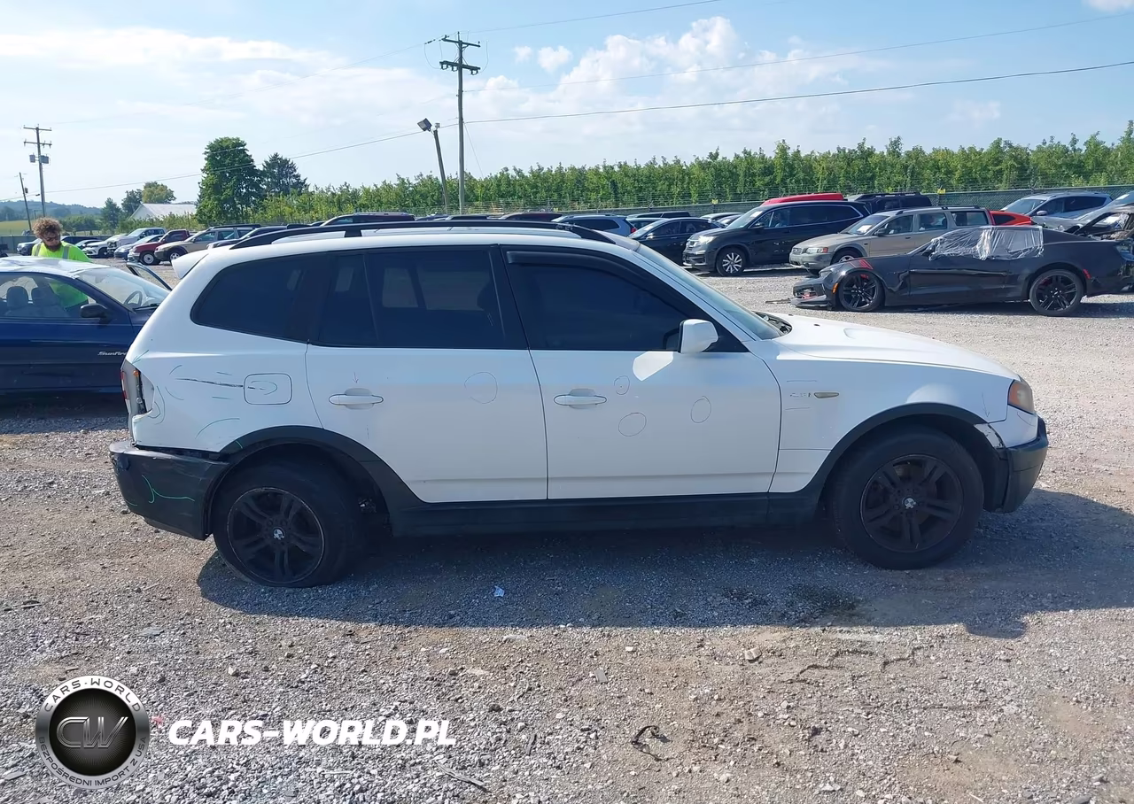 2004 BMW X3 2.5I VIN:WBXPA73434WC39778 - 12
