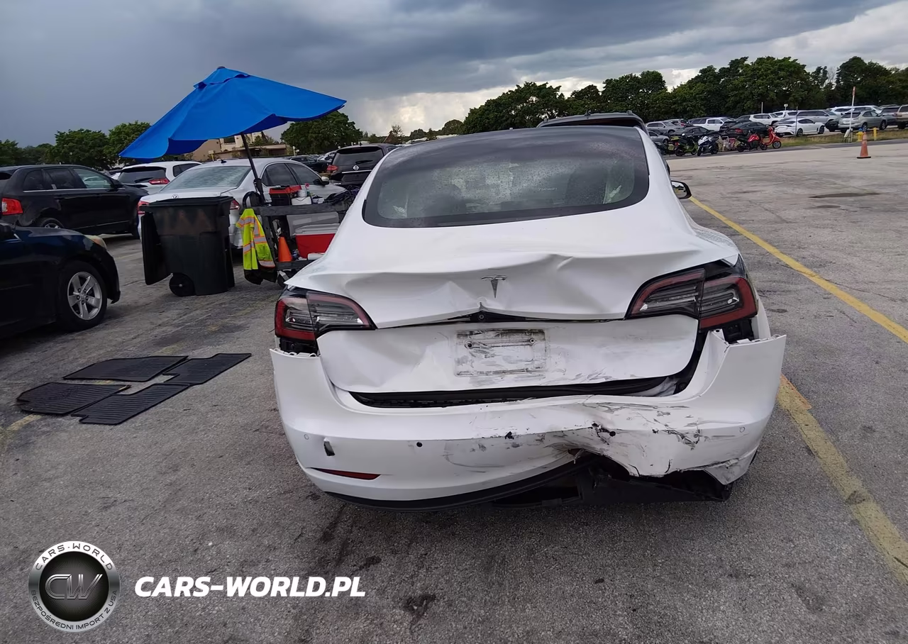 2021 Tesla Model 3 Standard Range Plus Rear-Wheel Drive VIN:5YJ3E1EA7MF852116 - 6