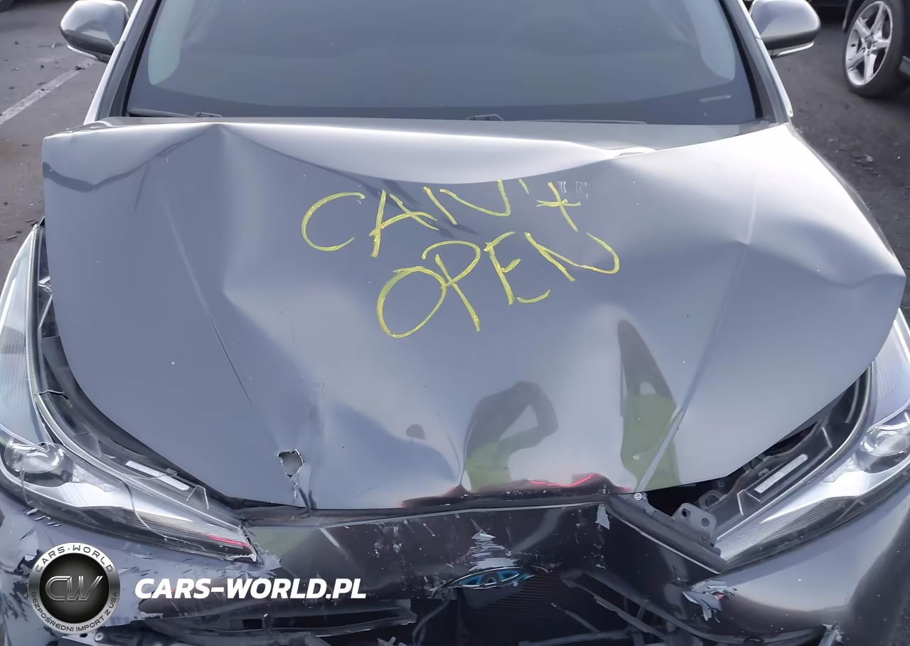 2019 Toyota Prius Le VIN:JTDKARFU0K3084634 - 10