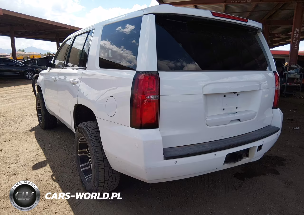 2018 Chevrolet Tahoe Commercial Fleet VIN:1GNSKFEC6JR121984 - 3
