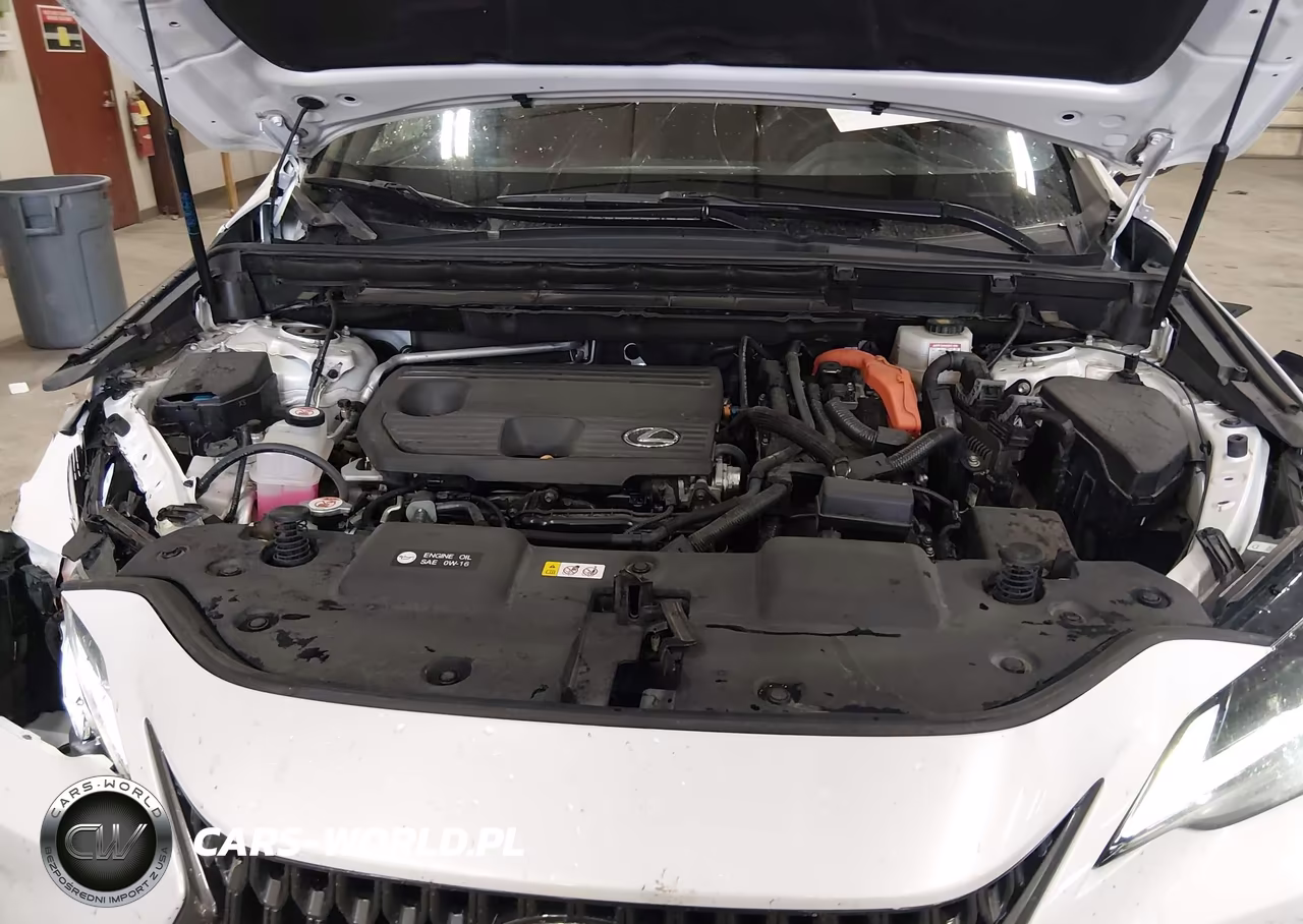 2024 Lexus Nx 350H Premium VIN:2T2GKCEZ4RC020137 - 10