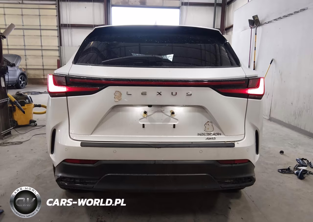 2024 Lexus Nx 350H Premium VIN:2T2GKCEZ4RC020137 - 17