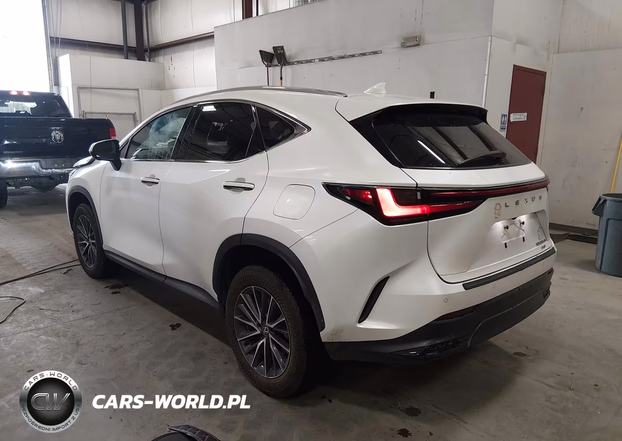 2024 Lexus Nx 350H Premium VIN:2T2GKCEZ4RC020137 - 3